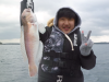 �މʉ摜