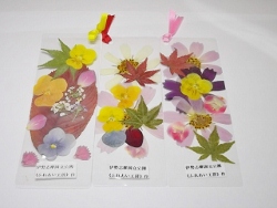 押し花しおり