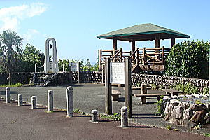 �c�o�X�̏�