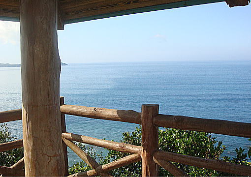 �c�o�X�̏�����̒���