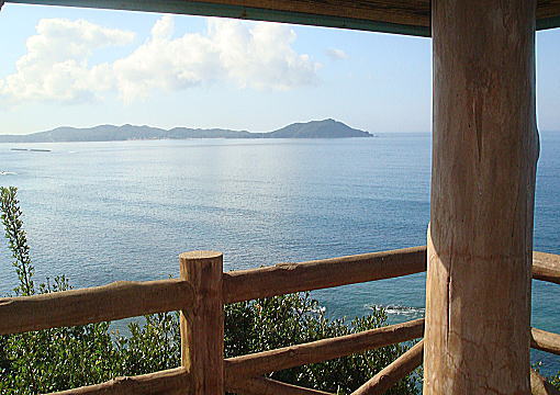 �c�o�X�̏�����̒���