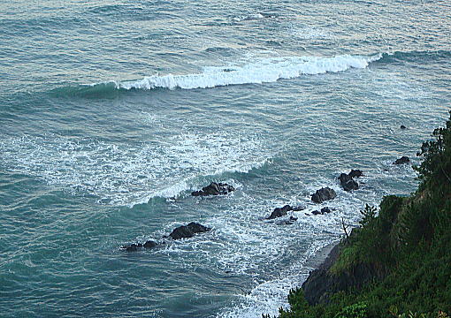 �c�o�X�̏�����̒���