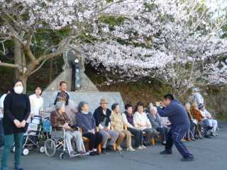 はまみの里の桜でお花見
